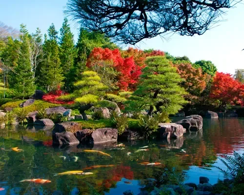Giardino giapponese a Osaka