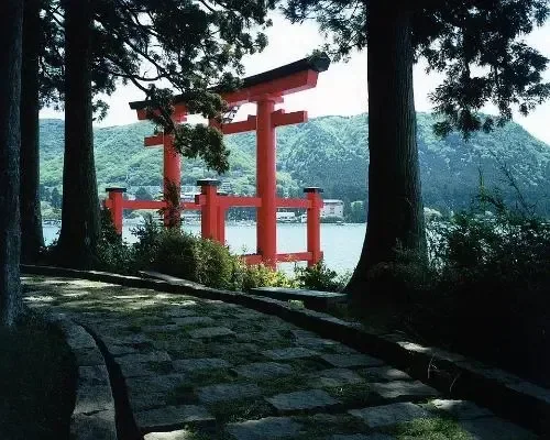 Torii tra gli alberi a Hakone