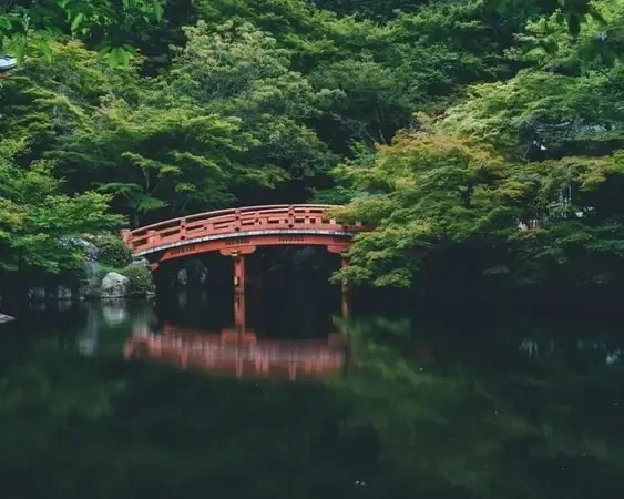 Ponte tra gli alberi di Kyoto