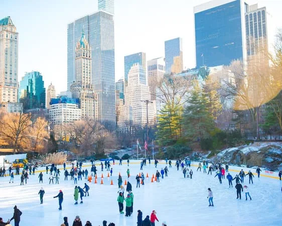 Central Park e la skyline di Manhattan