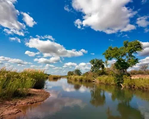 Paesaggio naturale nell’area del Kruger