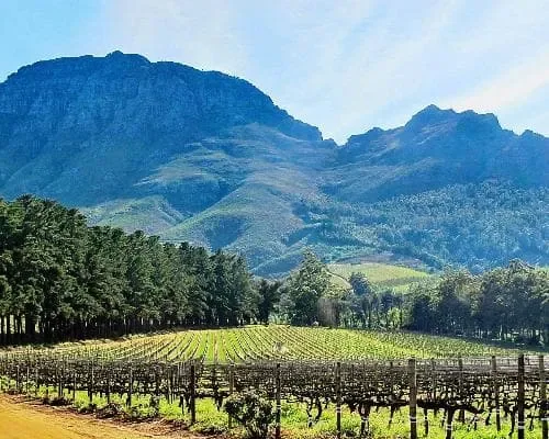 Colline e vigneti attorno a Stellenbosch